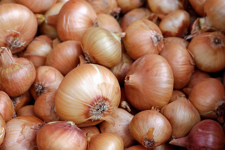 How to Plant, Grow & Harvest Onions in Your Vegetable Garden