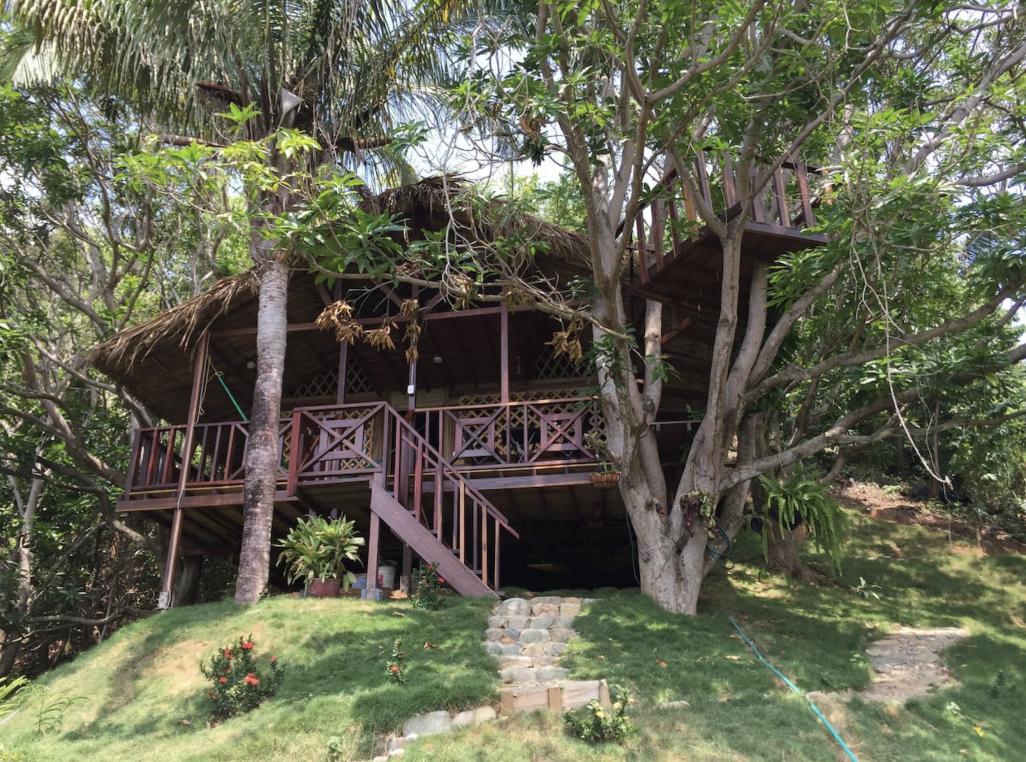 columbia tree house