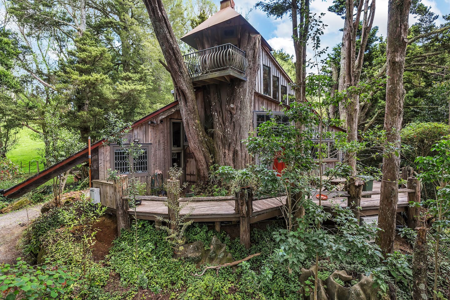 tree house to rent
