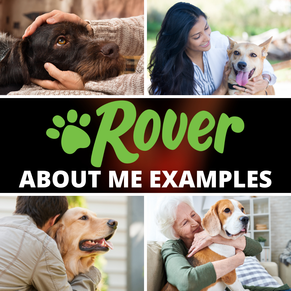 Rover About Me Examples