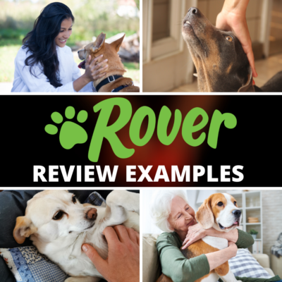 30+ Rover Review Examples • Eat, Sleep, Wander