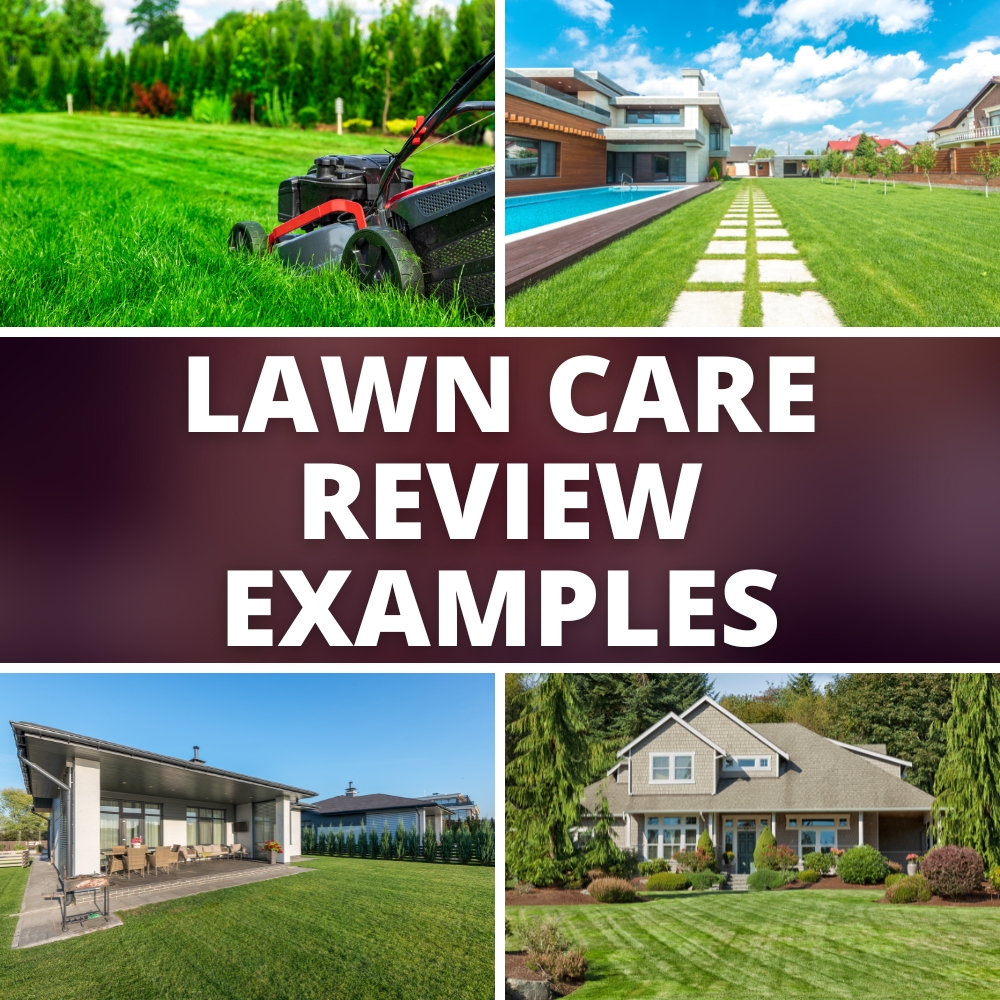 lawn care review examples