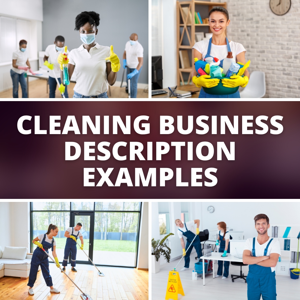 Cleaning business description examples