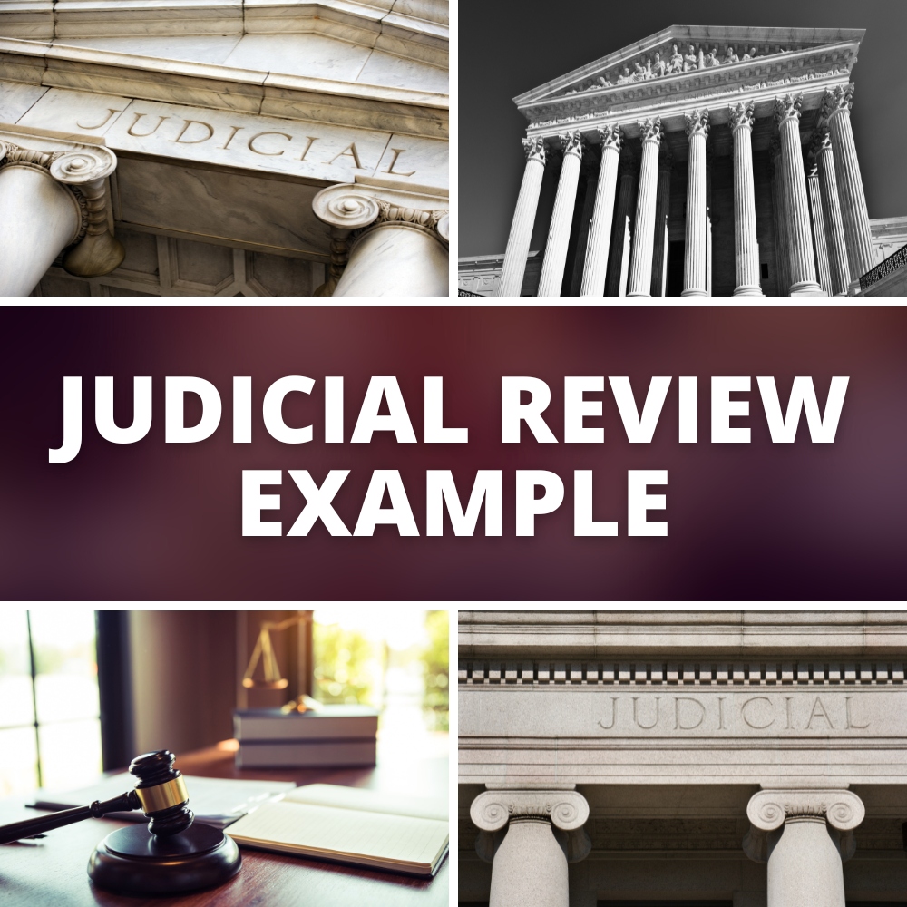 judicial review examples