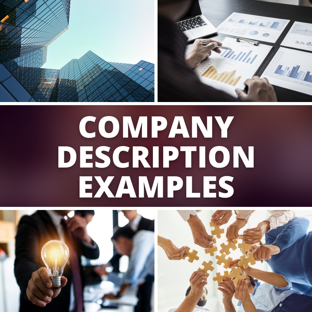 company descriptions examples