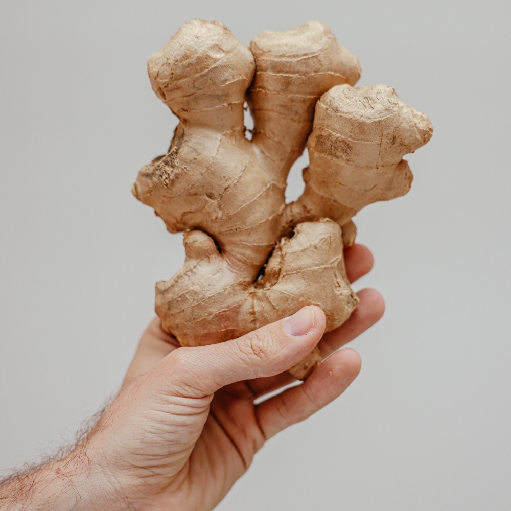 Growing Ginger Step by Step