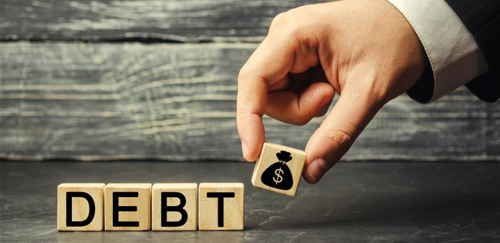 Examples of Debt Securities